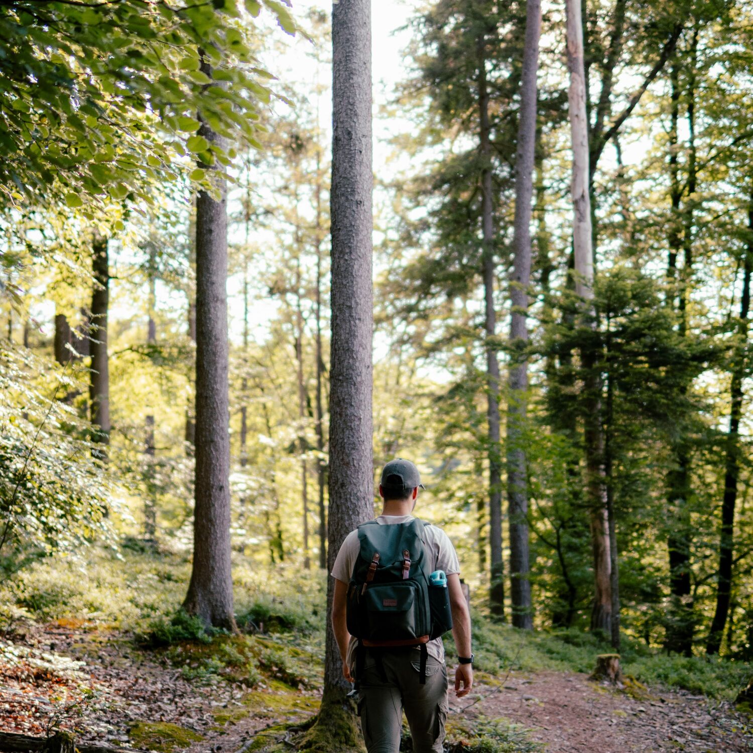 waldfairliebt_draussendaheim_2026